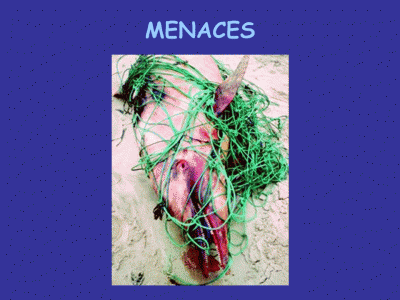 les menaces