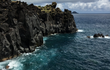 falaises Açores - dauphins et son bébé - consciences dauphins - nager avec les dauphins - nage avec les dauphins sauvages